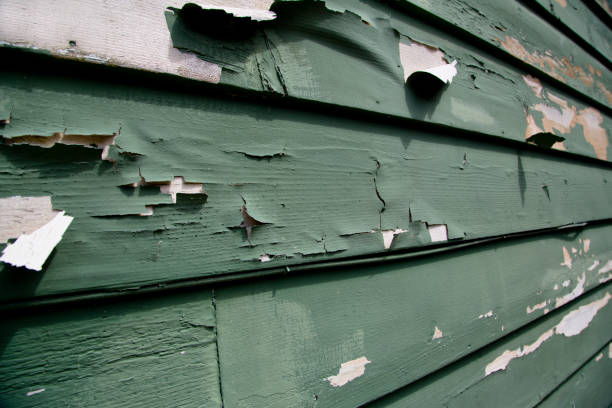 Best Residential Vinyl Siding Installation  in Edgewood, WA